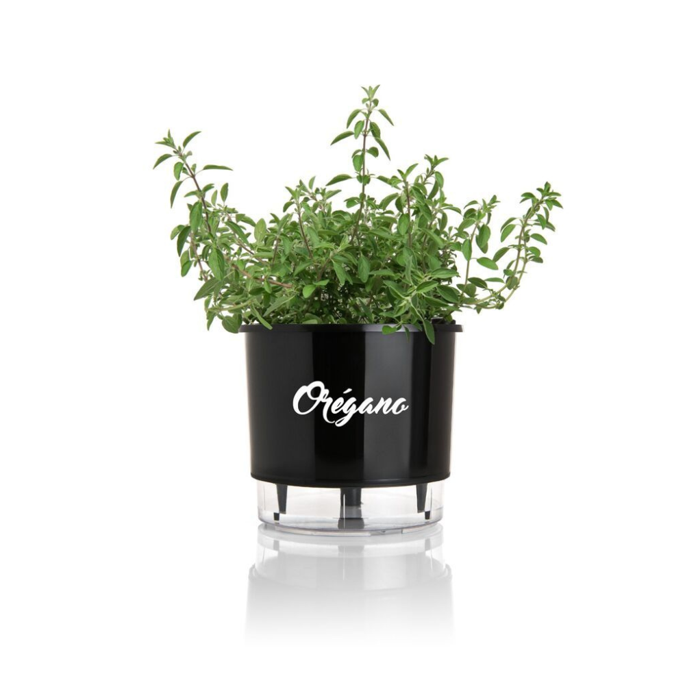 Vaso De Planta Auto Irrigável Pague 1 Leve 2